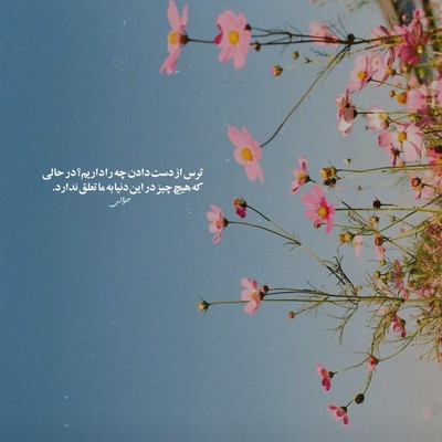 علی گرامی فلوم ترقه اس پسر بوم