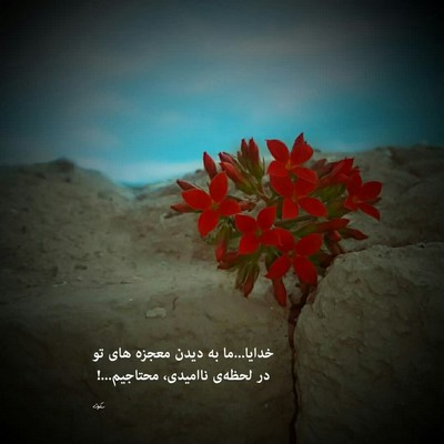 هایده دل میگه باز فردا رو از نو بساز ای دل غافل دیگه از ما گذشت