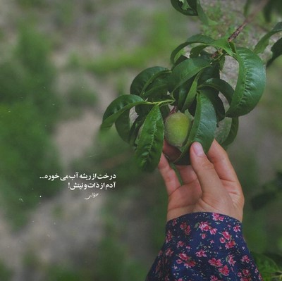 رضا پیشرو قهرمان ماراتون با مارادونا