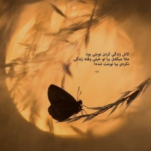 دانلود آهنگ ترکی صفوینین بالاسی گلیب گنه