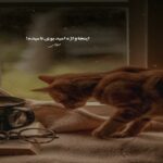 دانلود آهنگ مامان شام درست نکن نمیایم خونه از هیپهاپولوژیست