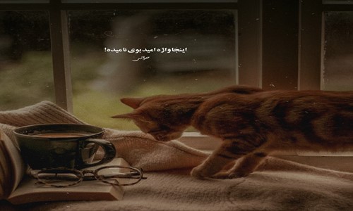 دانلود آهنگ مامان شام درست نکن نمیایم خونه از هیپهاپولوژیست